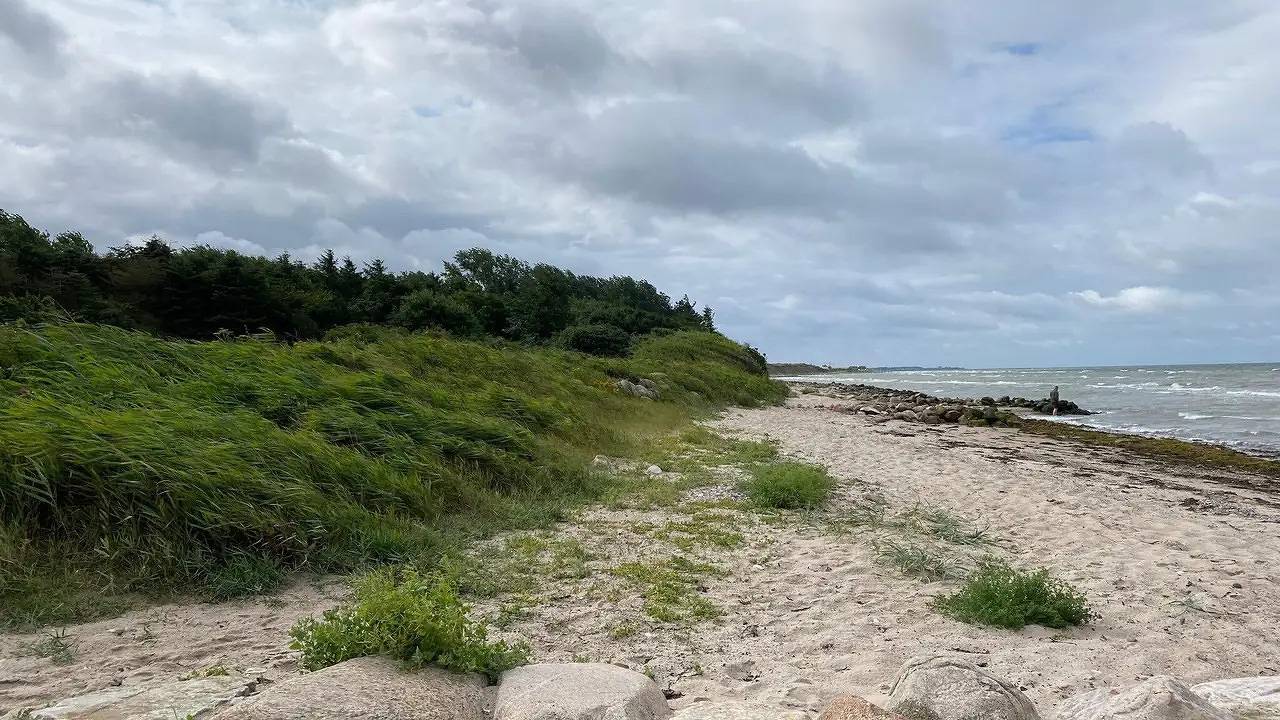 Ferienhaus für 6 Personen (66 m²) in Assens in Assens, Lillebælt