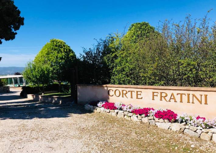 Gîte pour 2 personnes, avec piscine et jardin, animaux acceptés à Trevi - 3