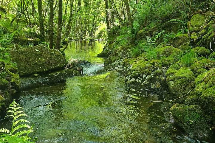 Holiday home for 8 people, with pets - 1