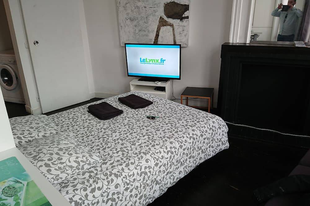 Entire apartment, Studio Hypercentre closed to stations and metro in Lille, Lille region