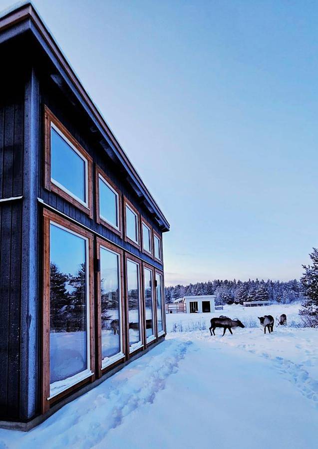 Location de vacances pour 6 personnes, avec vue à Kiruna - 2