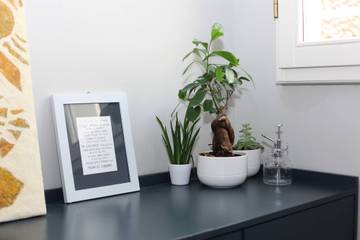 Casa Vacanza per 4 Persone in Firenze Centro storico, Firenze, Foto 4