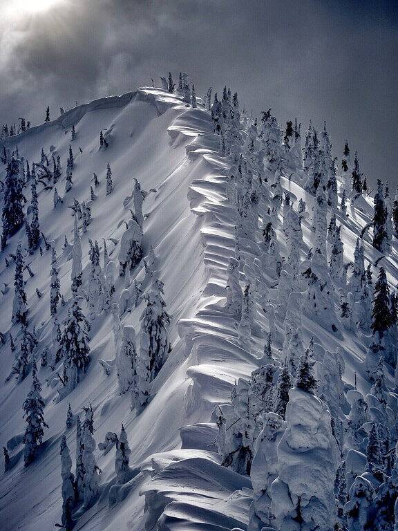 Ganze Wohnung, Stay cool with great rates and central Air conditioning! Weber County lic #3495 in Eden (UT), Uinta Wasatch Cache National Forest