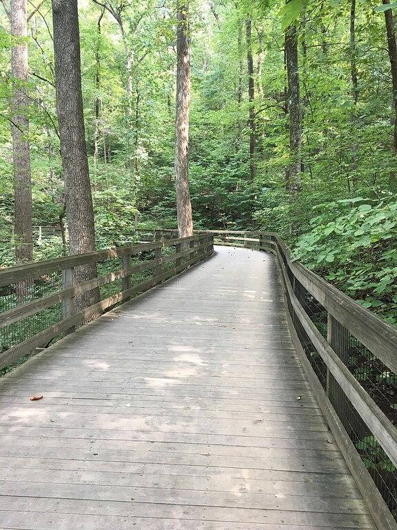 Ganze Wohnung, Verstecktes Edelstein Mit Blick! Weingüter, Clifton Inn, Monticello, Trump Winery, Uva in Albemarle County
