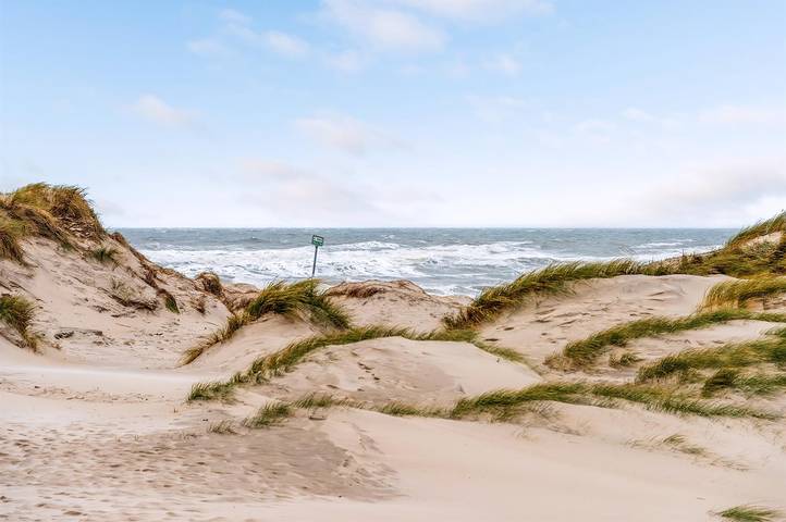 Ferienhaus für 8 Personen, mit Sauna und Terrasse am Ringkøbing Fjord - 4
