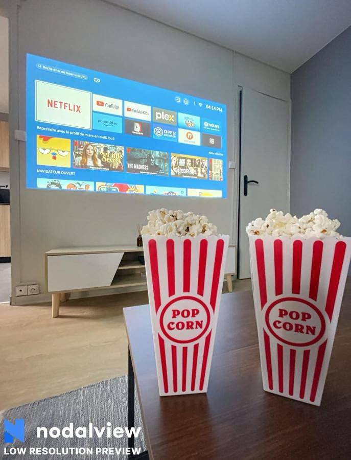 Appartement entier, Cozy renovated apartment with cinema atmosphere and view in La Mulatière, Lyon et ses environs