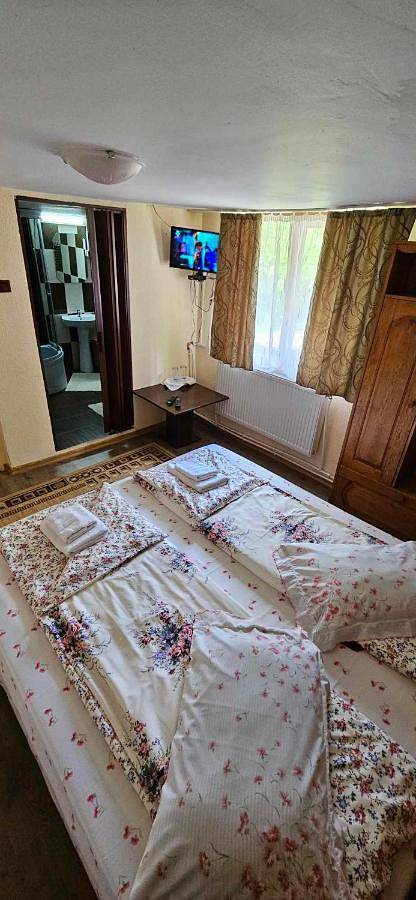 Villa pour 16 personnes, avec piscine ainsi que jacuzzi et jardin en Roumanie - 3