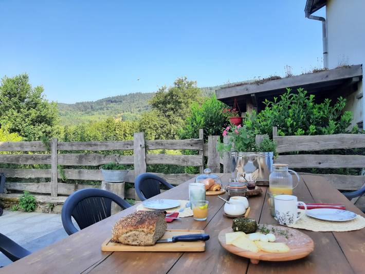 Chambre dhôtes La Pimprenelle  repos et nature in Le Syndicat, Région d'Épinal