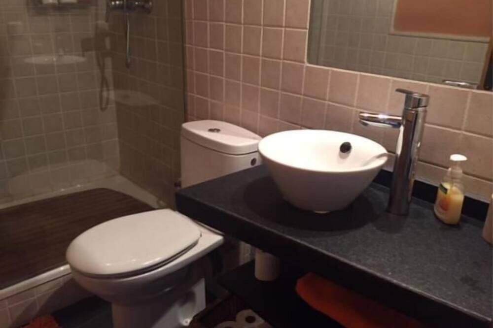 Ganze Wohnung, Penthouse 3 rooms Fireplace, Pool, Terrace & Wi-Fi in Puigcerdà, Cerdanya