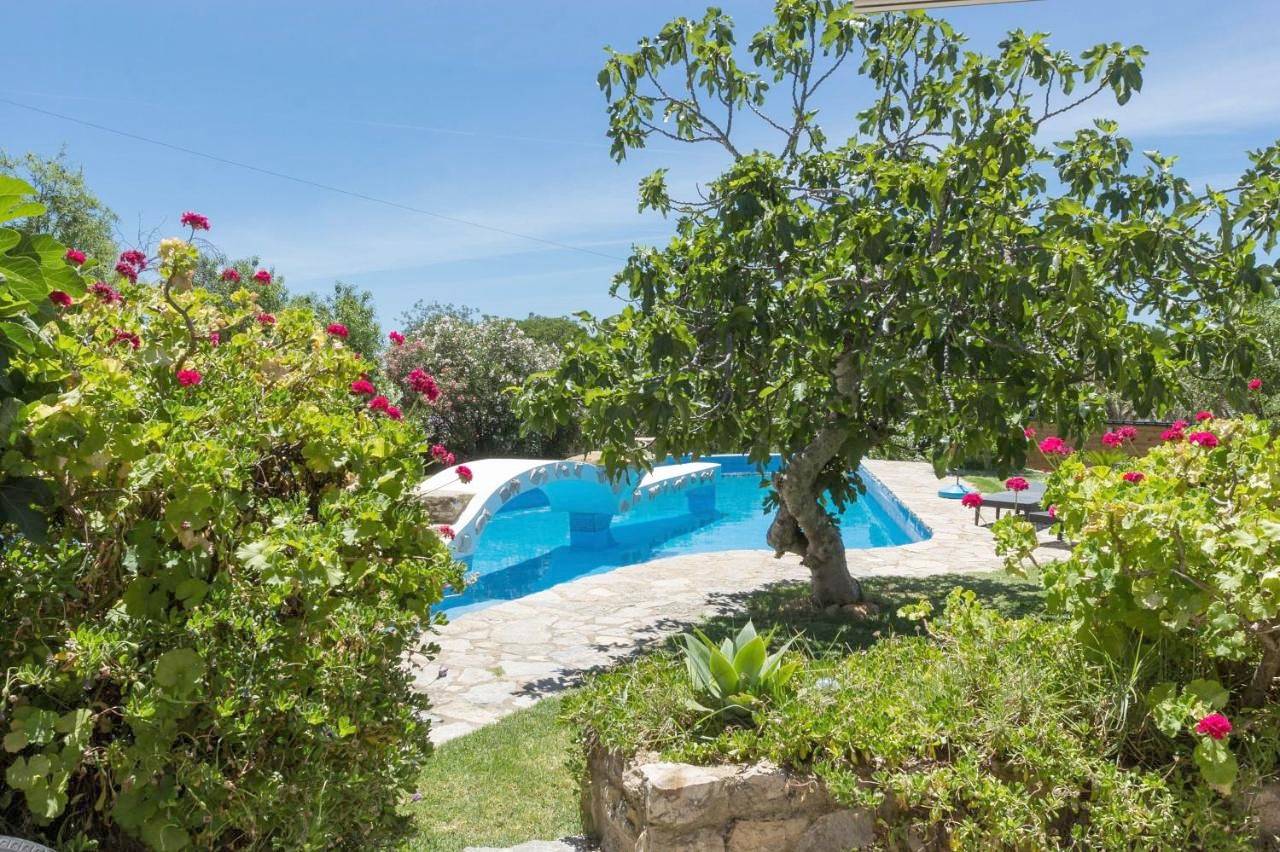 Holiday Home in Estoi, Faro