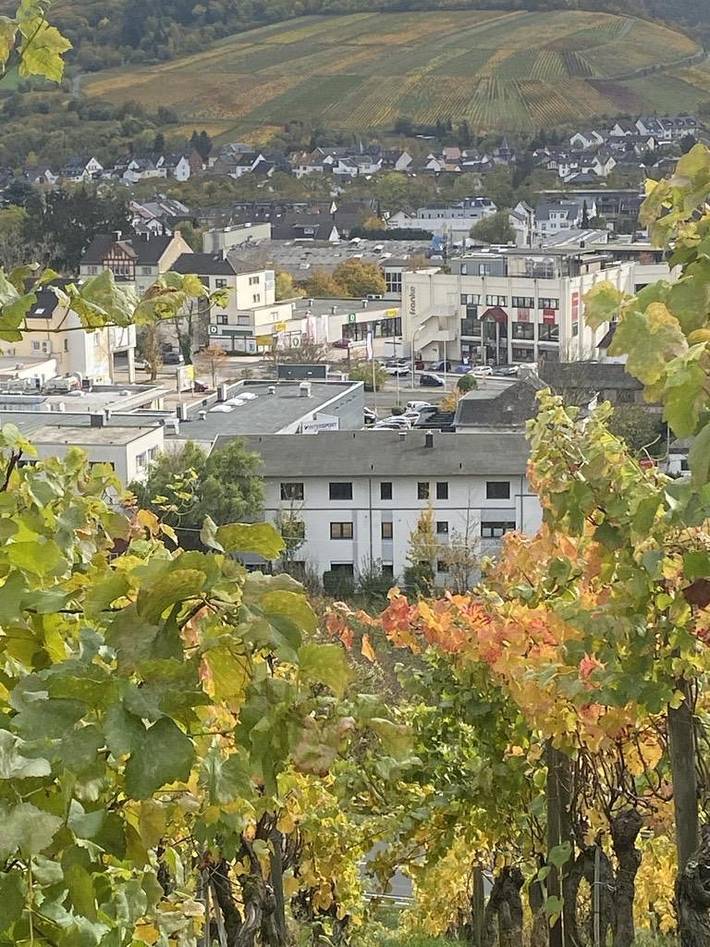 Appartement de vacances entier, Appartement, douche, Wc, 2 chambres in Ahrweiler, Bad Neuenahr-Ahrweiler