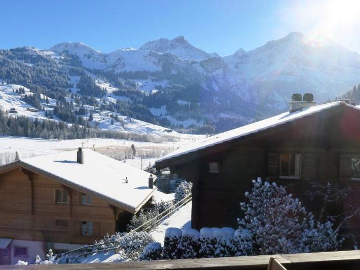 Ganze Wohnung, Silberdistel in Lauenen b. Gstaad, Lauenen
