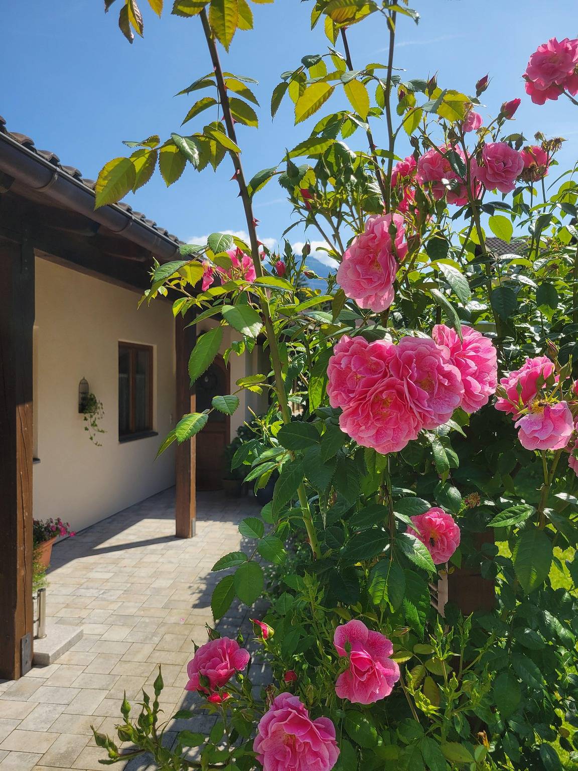 Ferienhaus Saalachau - Ferienhaus Saalachau mit Terrasse 90 qm, 2 Schlafzimmer in Bad Reichenhall, Berchtesgadener Alpen