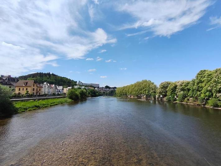 Chambre d’hôte pour 3 personnes, avec jardin et vue à Épinal - 3