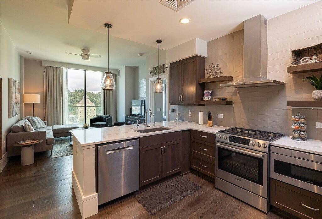 Ganze Wohnung, 'Arras Altitude Adjustment' a Luxury Downtown Asheville Condo w Mountain Views in Blue Ridge Parkway, Asheville