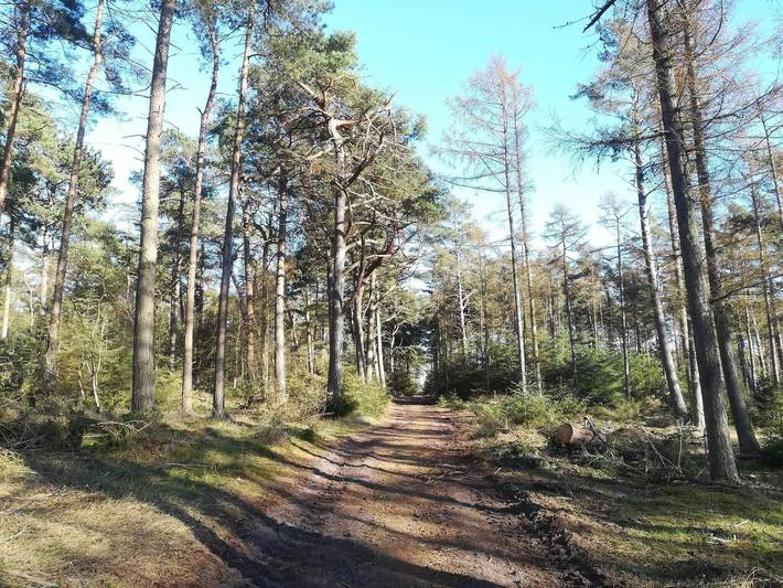 Ferienhaus für 6 Personen, mit Terrasse, kinderfreundlich in Gedesby - 4