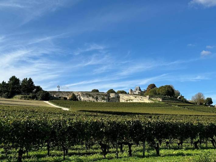 Location de vacances pour 4 personnes, avec jardin et vue à Naujan-et-Postiac - 2