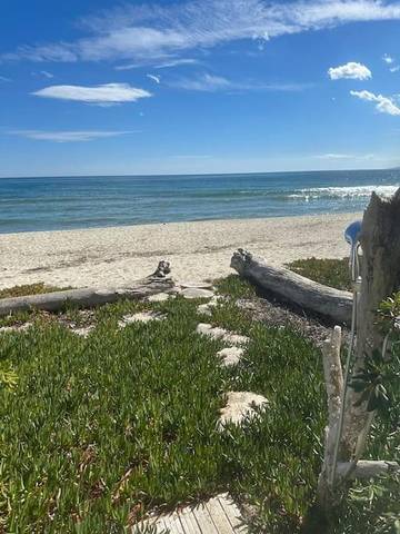 Gîte pour 6 personnes, avec vue et jardin dans Plage de Vignale