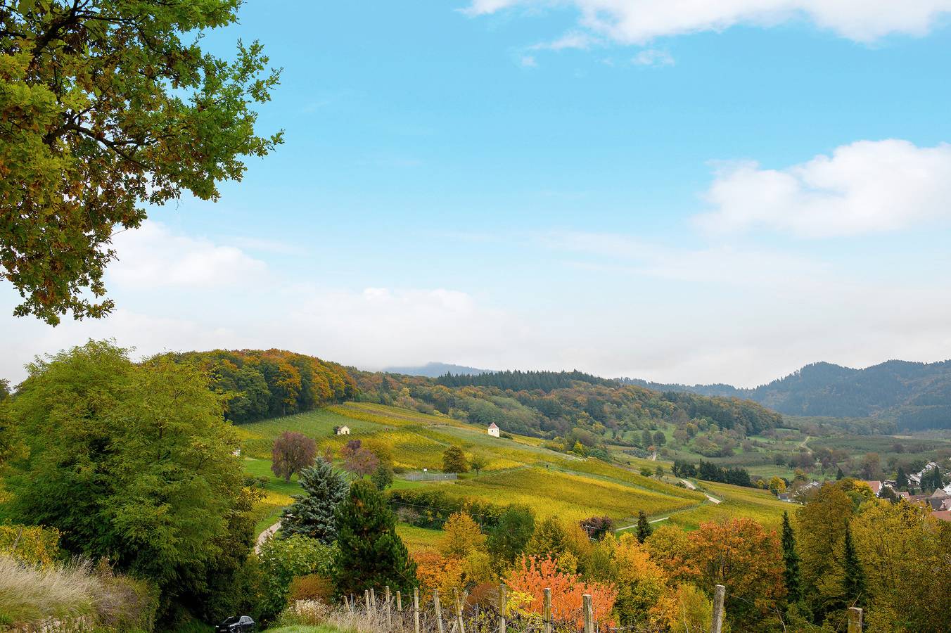Ferienhaus 'Zur Alten Dame' mit Bergblick, privatem Garten und Wlan in Lipburg, Badenweiler