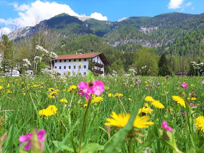 Bauernhof für 6 Personen, mit Balkon und Garten am Achensee
