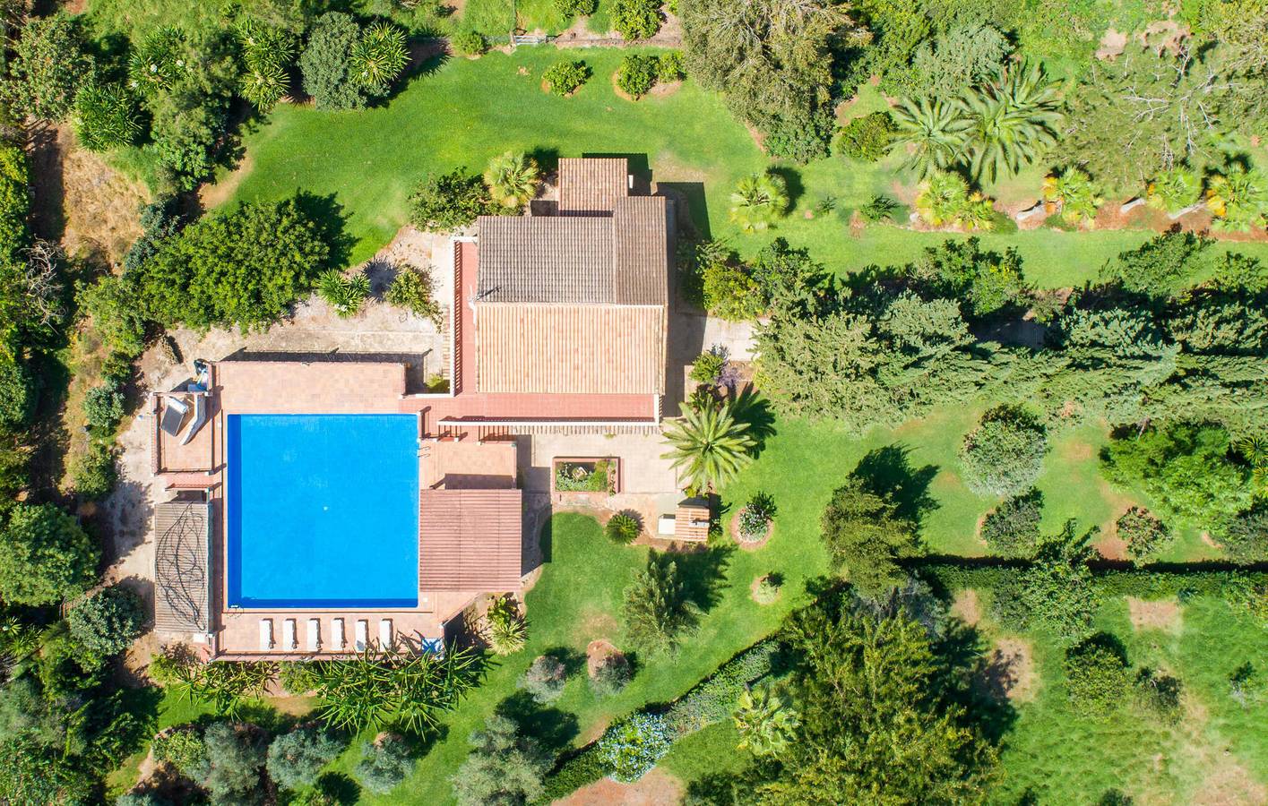Sonnige Terrassenwohnung mit Pool in Llubí, Mallorca Inselmitte