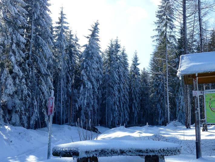 Ganze Ferienwohnung, Ferienwohnung Rennsteigblick in Tambach-Dietharz, Rennsteig