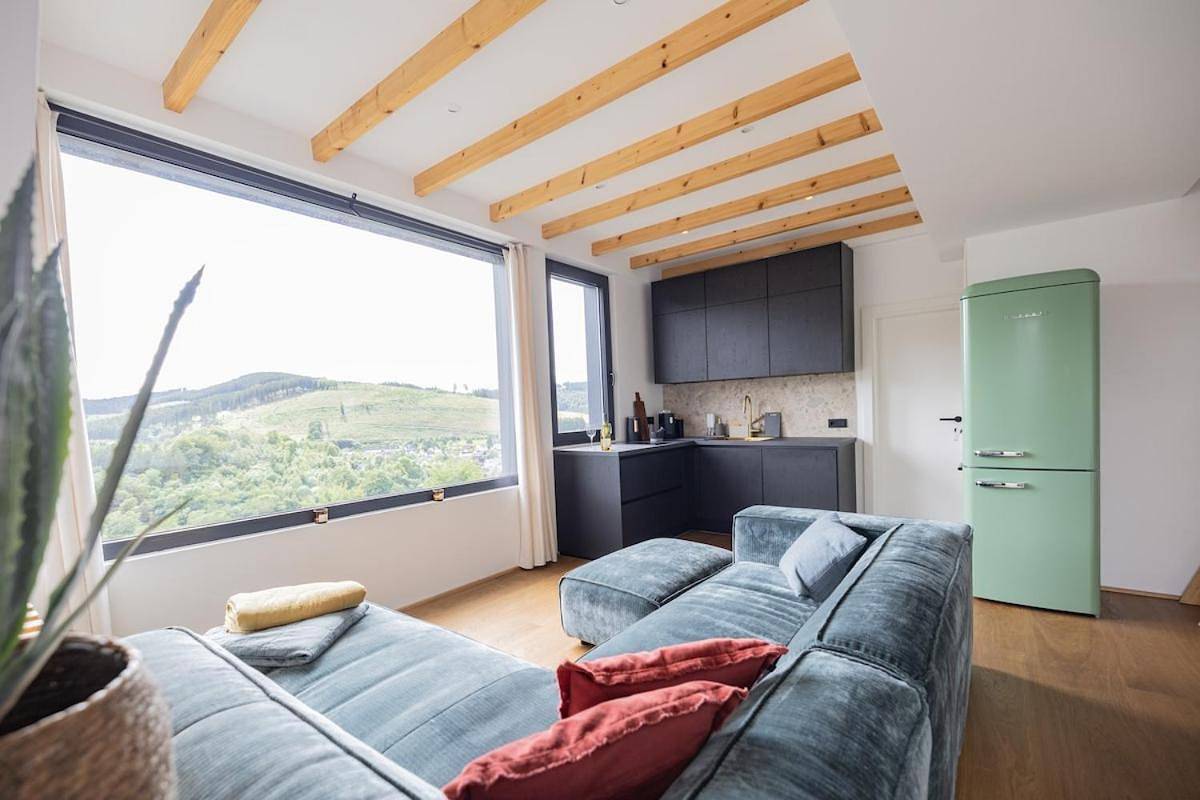 Ganze Wohnung, Moderne Atelierwohnung, Blick auf See und Skigebiet in Niedersfeld, die Mittelgebirge