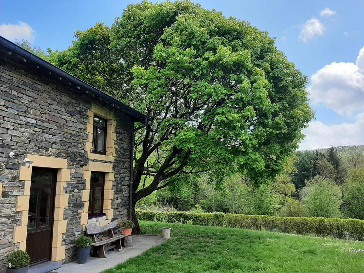 Four-Bedroom House in Laforêt, Vresse-sur-Semois