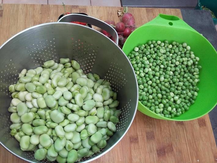 Chambre d’hôte pour 2 personnes, avec terrasse et jardin, animaux acceptés dans Verdun - 3