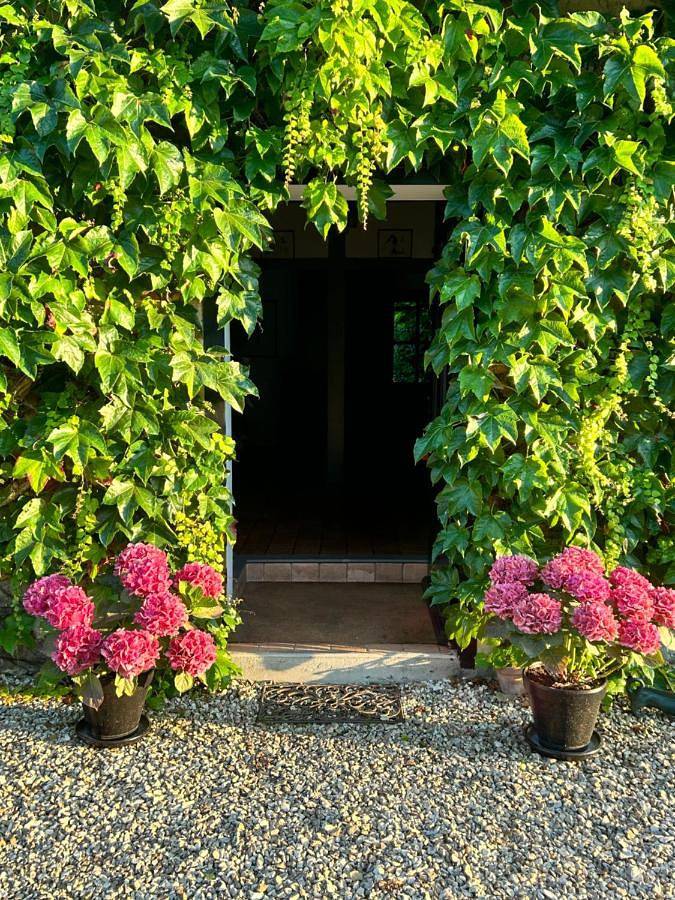 Location de vacances pour 6 personnes, avec jardin et vue ainsi que vue sur le lac et piscine à Salbris - 4