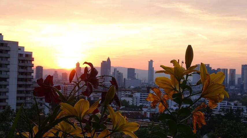 Holiday apartment for 2 people, with Balcony and Terrace as well as Garden and Pool in Frankfurt am Main