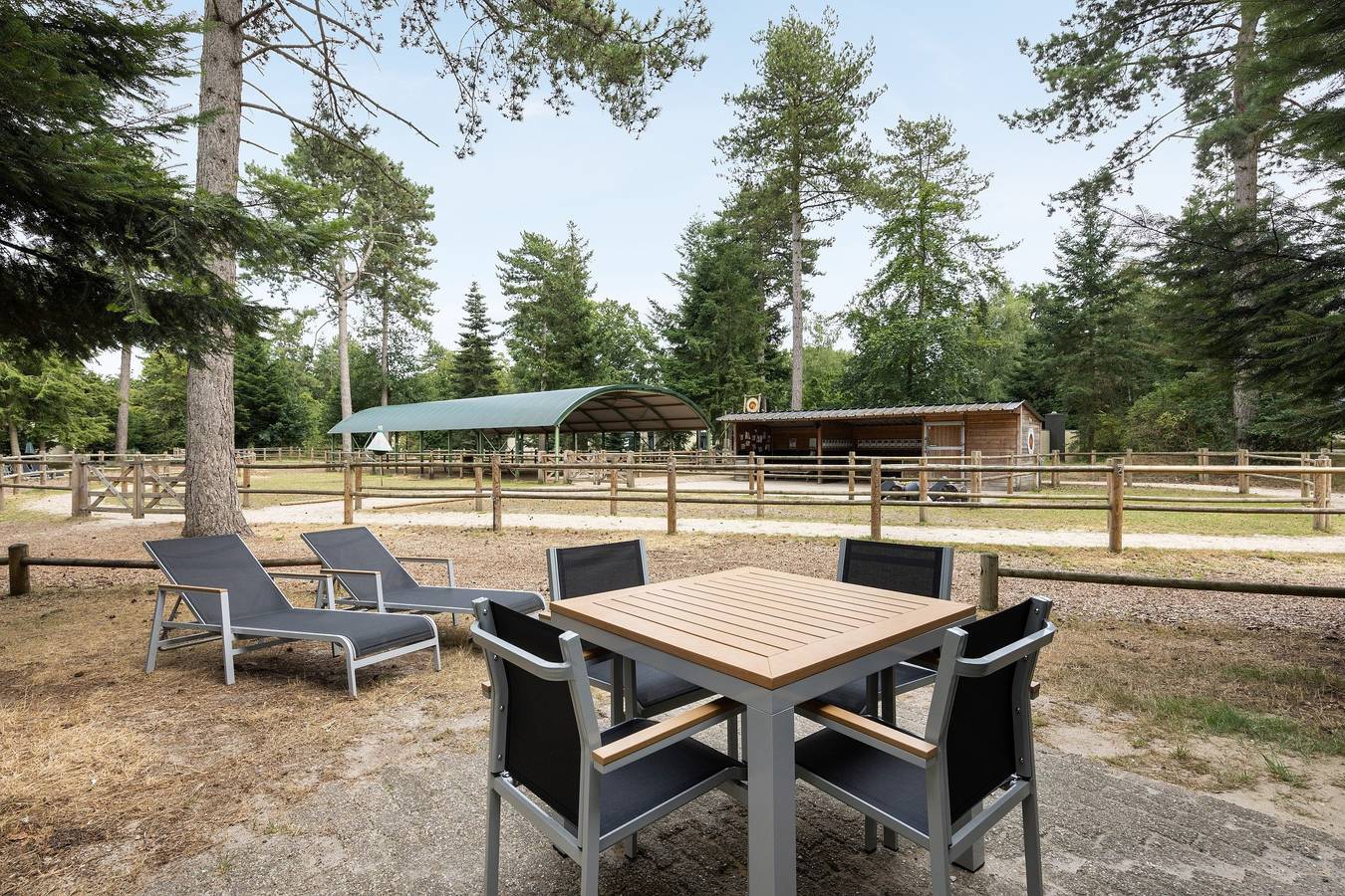 Finca für 5 Personen mit Pool in Limburg (Niederlande)