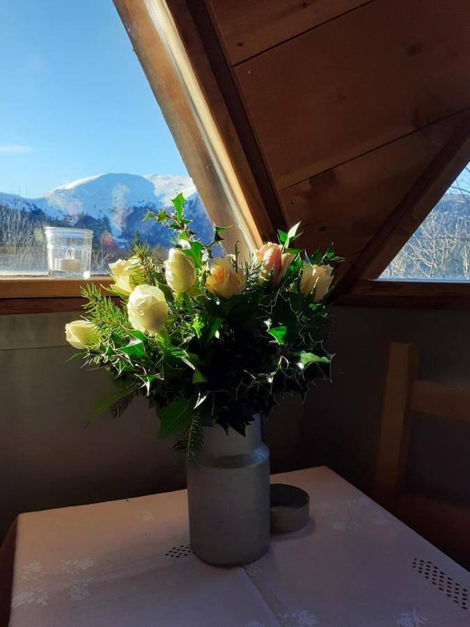 L'Oriel du Senepy in La Motte-d'Aveillans, Vercors