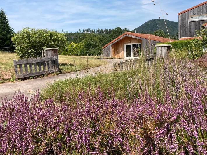 Maison de campagne pour 2 personnes, avec vue et jardin à Saulcy-sur-Meurthe