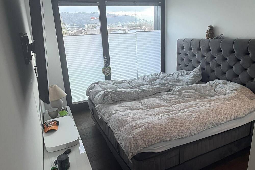 Entire apartment, Penthouse with whirlpool & huge terrace in Zurich, Zurich Prealps