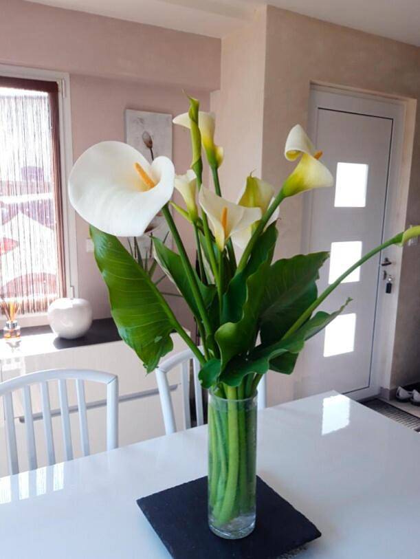 Location de vacances pour 6 personnes, avec jardin à Trignac - 4