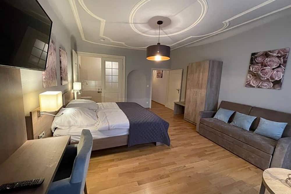 Ganze Wohnung, Apartment 3 Mephisto in Altstadt Heidelberg, Heidelberg