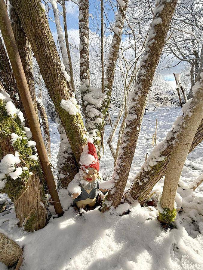 Gîte pour 6 personnes, avec jardin et vue, adapté aux familles à Labaroche - 2