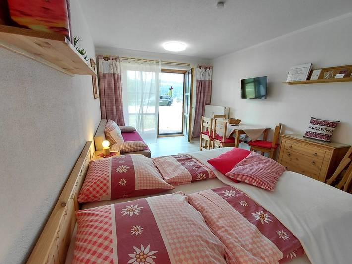 Studio für 3 Personen in Dreiländereck (D-A-CZ) - 4
