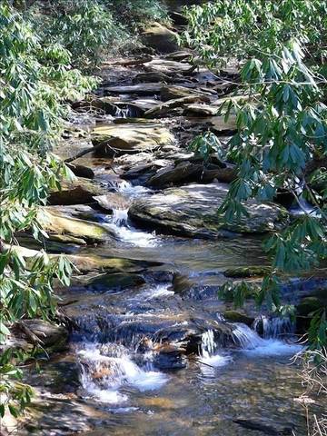 Cottage for 4 Guests in Blue Ridge Mountains, Mount Mitchell, Picture 4