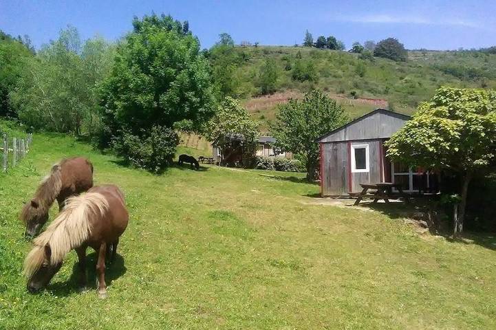 Chalet pour 4 personnes, avec balcon, animaux acceptés