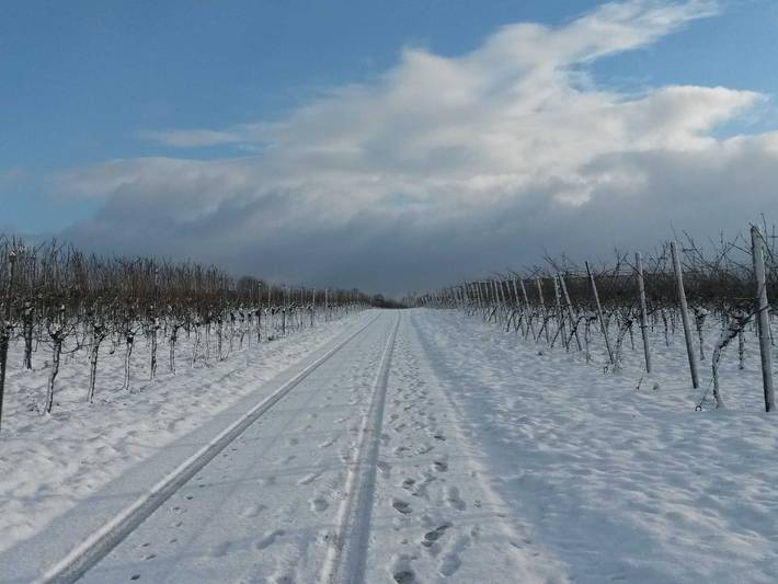 Ferienwohnung für 3 Personen, mit Garten und Seeblick in Kurpfalz - 4