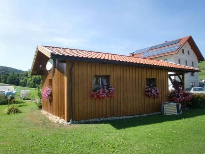 In Röhrnbach mit Grill und Terrasse in Röhrnbach, Bavière Orientale