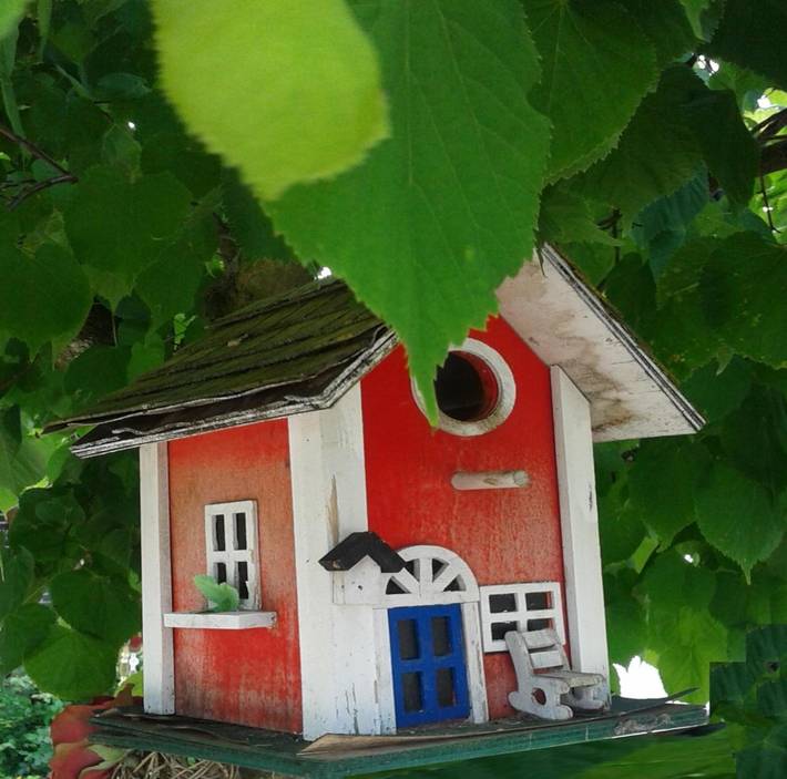 Gîte pour 3 personnes, avec jardin, animaux acceptés à Worms (Allemagne)