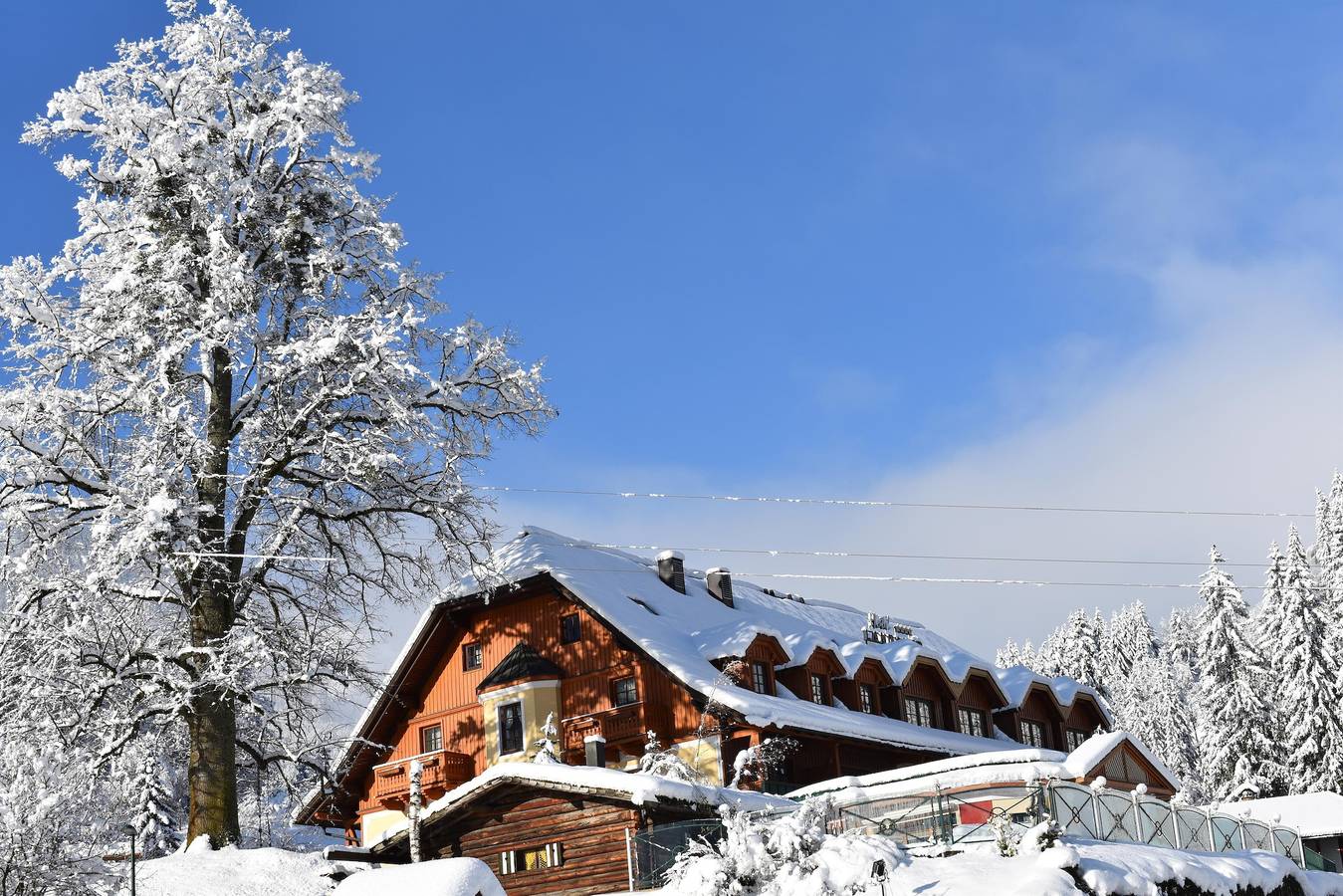 Entire holiday apartment, Hotel Vitaler Landauerhof in Rohrmoos, Schladming-Dachstein