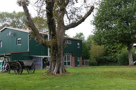 Ferienwohnung Weideglück - Ferienwohnung Weideglück (Osten/Oste) in Osten, Cuxland
