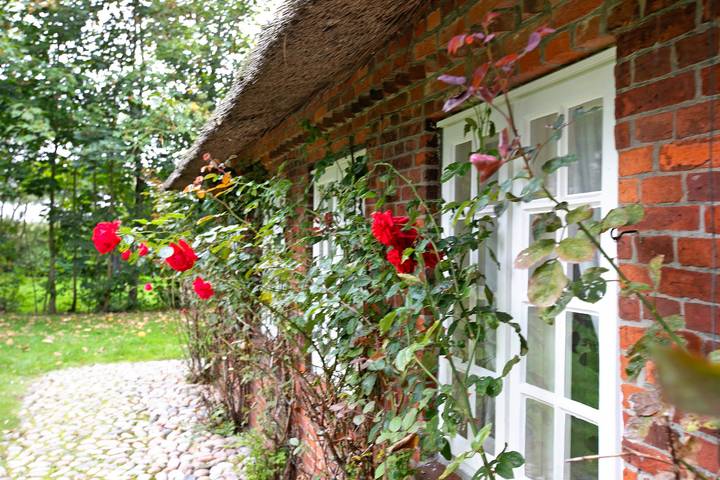 Ferienwohnung für 8 Personen, mit Garten und Sauna in Emmelsbüll-Horsbüll - 4