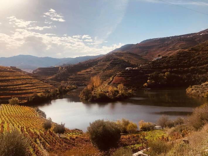 Location de vacances pour 2 personnes, avec piscine ainsi que jardin et vue dans Tabuaço - 3