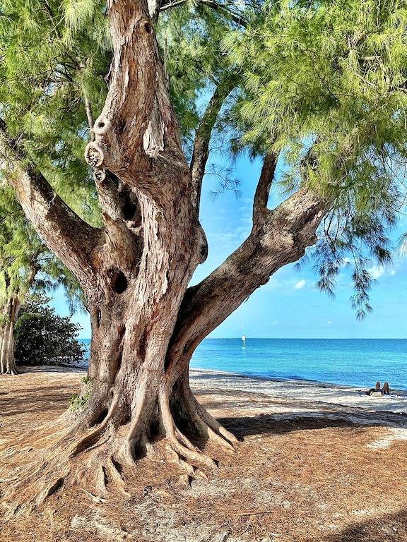 Ferienhaus für 6 Personen, mit Pool und Balkon auf Anna Maria Island