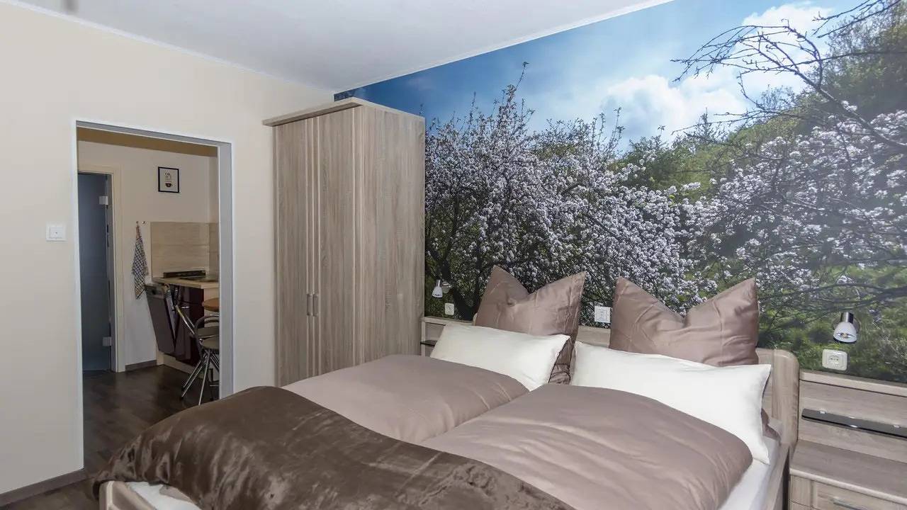 Ganze Ferienwohnung, Ferienwohnung für 2 Personen (22 m²) in Thale in Thale, Harzvorland